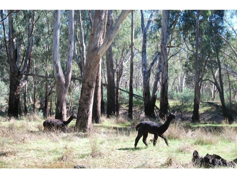 76 Platypus Drive, Barooga VIC 3644