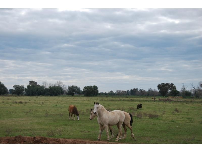 1120 Larissa Road, Cobram VIC 3644