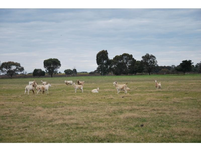 1120 Larissa Road, Cobram VIC 3644