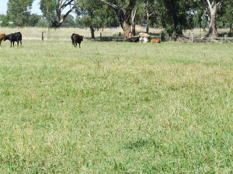 6722 Goulburn Valley Highway, Yarroweyah VIC 3644