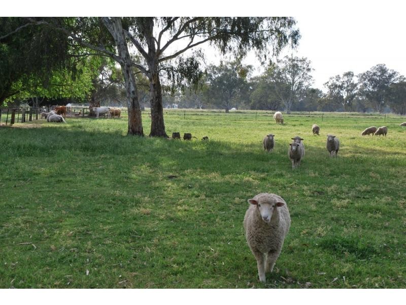 6722 Goulburn Valley Highway, Yarroweyah VIC 3644