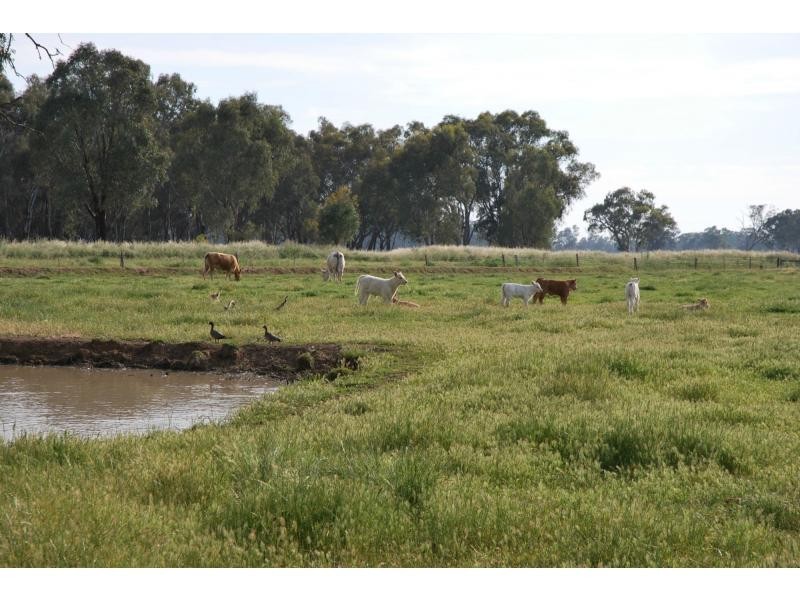 6722 Goulburn Valley Highway, Yarroweyah VIC 3644