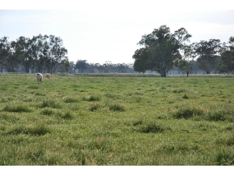 6722 Goulburn Valley Highway, Yarroweyah VIC 3644