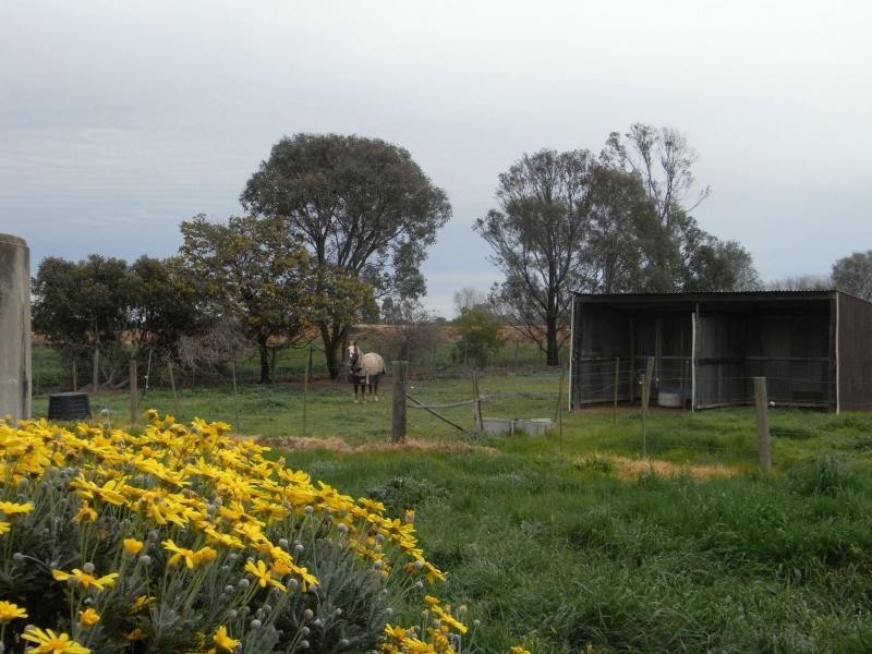 6035 Benalla Tocumwal Road, Muckatah VIC 3644