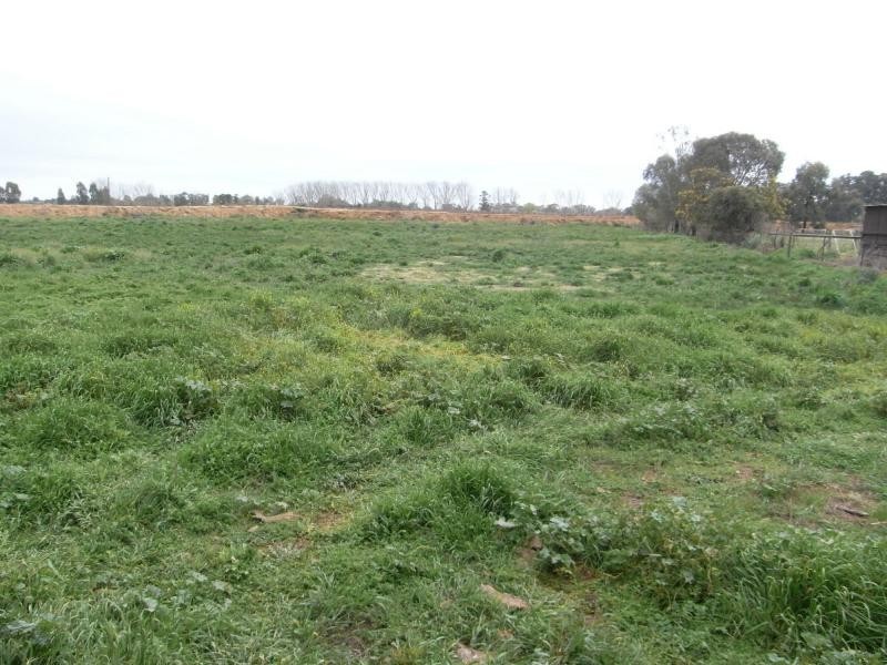 6035 Benalla Tocumwal Road, Muckatah VIC 3644