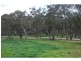 L1 Grasso Drive, Cobram VIC 3644