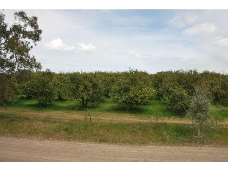 L1 Grasso Drive, Cobram VIC 3644