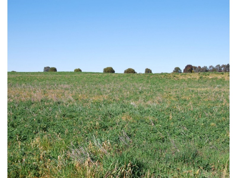 Lot 8 Cnr Platypus Drive, Barooga NSW 3644