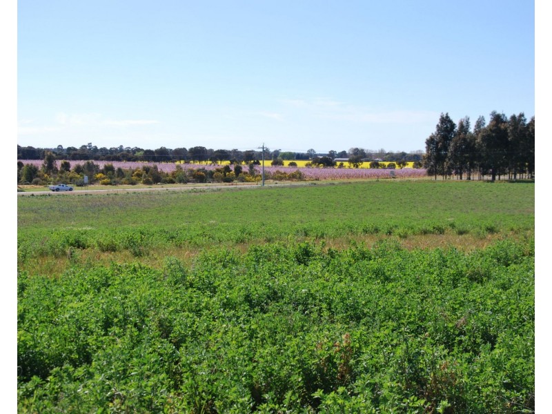 Lot 8 Cnr Platypus Drive, Barooga NSW 3644