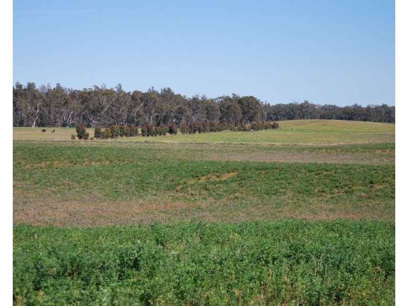 Lot 8 Cnr Platypus Drive, Barooga NSW 3644