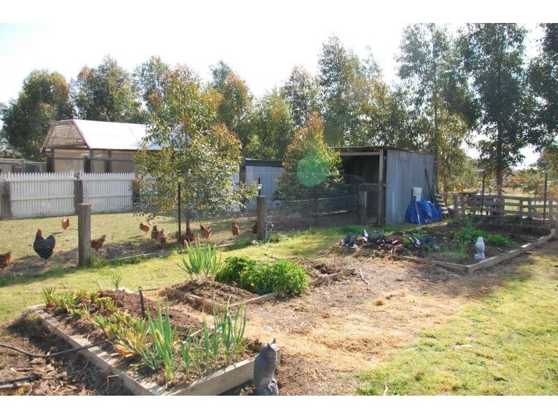 31 William Street, Cobram VIC 3644