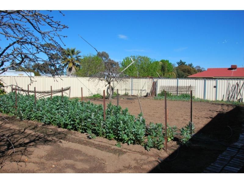 31 William Street, Cobram VIC 3644