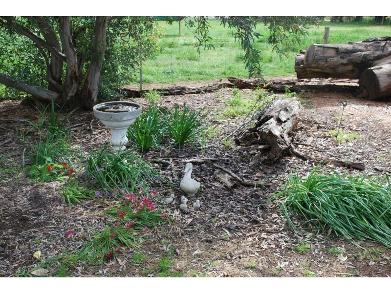 394 Cottons Road, Cobram VIC 3644