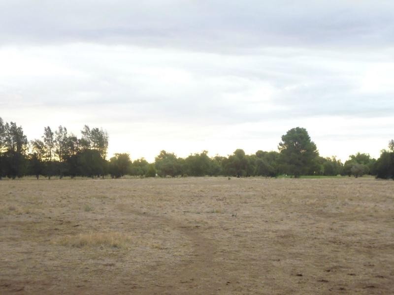 101 Cobram Street, Berrigan NSW 2712