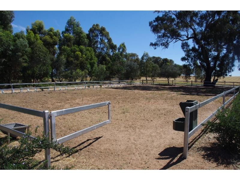 45 Barnes Road, Cobram East VIC 3644