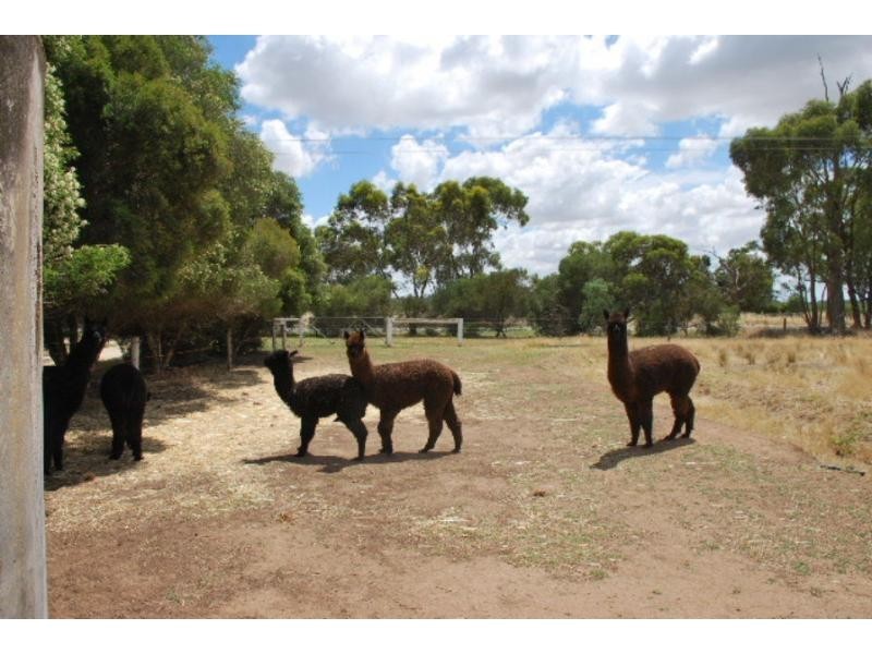 2805 Murray Valley Highway, Cobram East VIC 3644