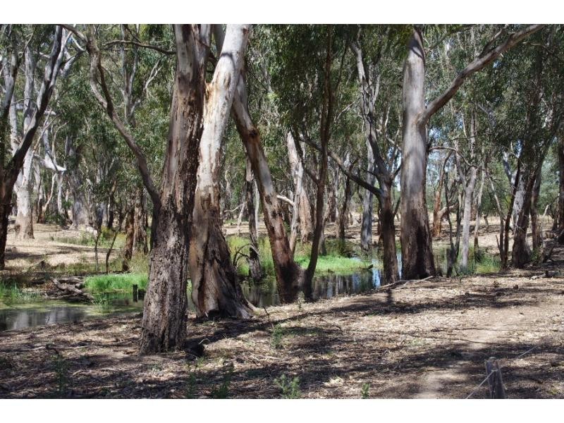 700 Stokes Road, Koonoomoo VIC 3644