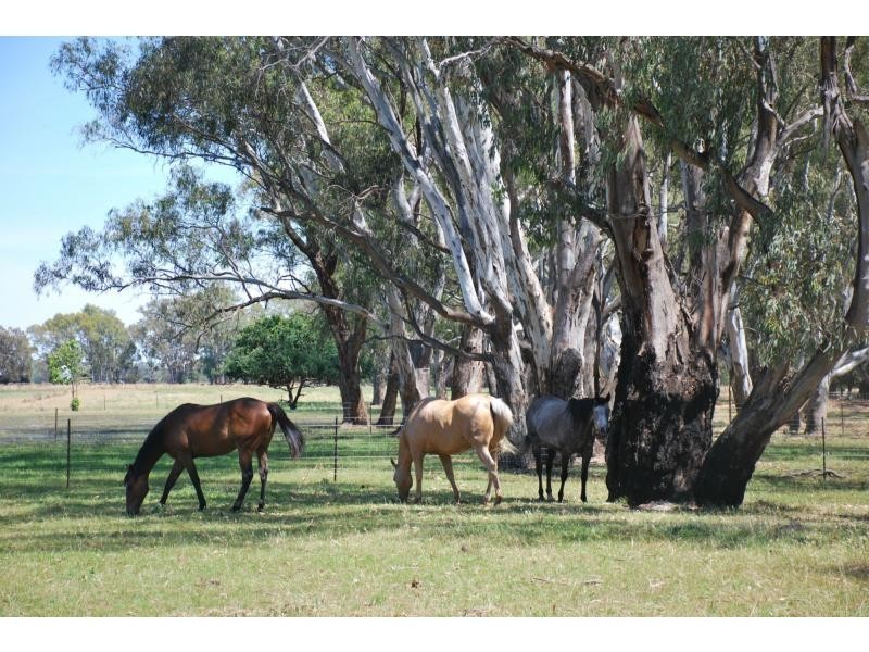 6915 Goulburn Valley Highway, Koonoomoo VIC 3644