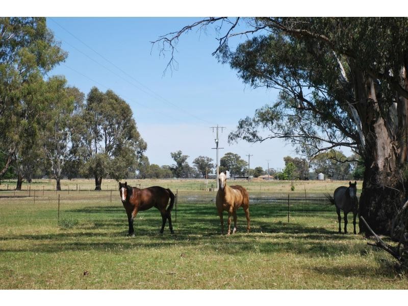 6915 Goulburn Valley Highway, Koonoomoo VIC 3644