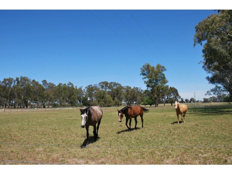 6915 Goulburn Valley Highway, Koonoomoo VIC 3644