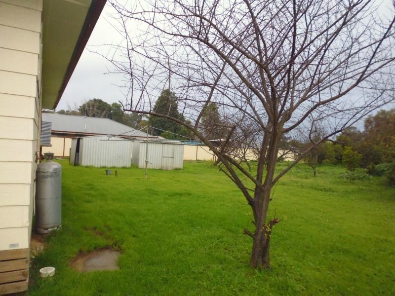 25 Amaroo Street, Barooga NSW 3644