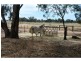 678 Back Barooga Road, Barooga NSW 3644