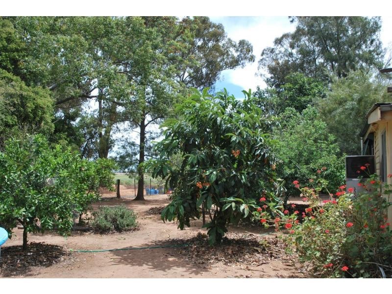 678 Back Barooga Road, Barooga NSW 3644