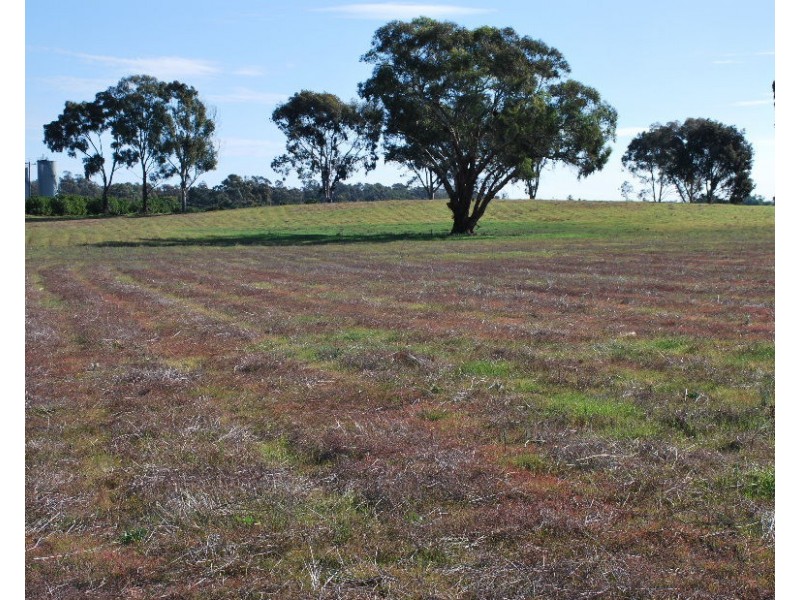 74 Quicks Road, Barooga NSW 3644