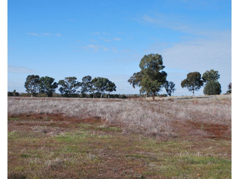 74 Quicks Road, Barooga NSW 3644