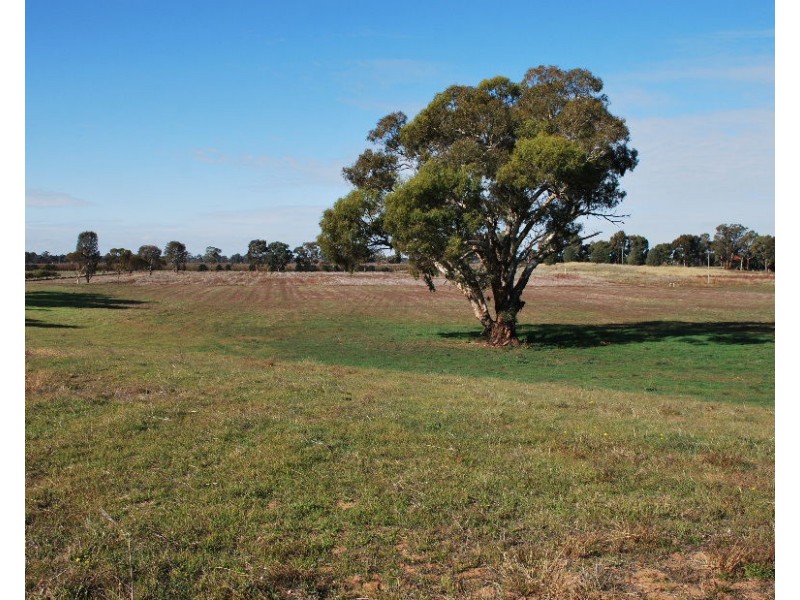 74 Quicks Road, Barooga NSW 3644