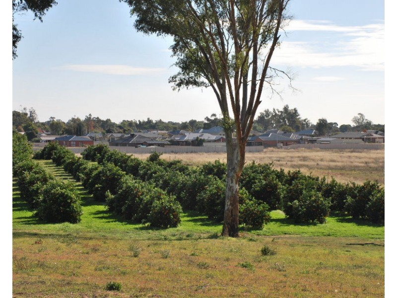 74 Quicks Road, Barooga NSW 3644