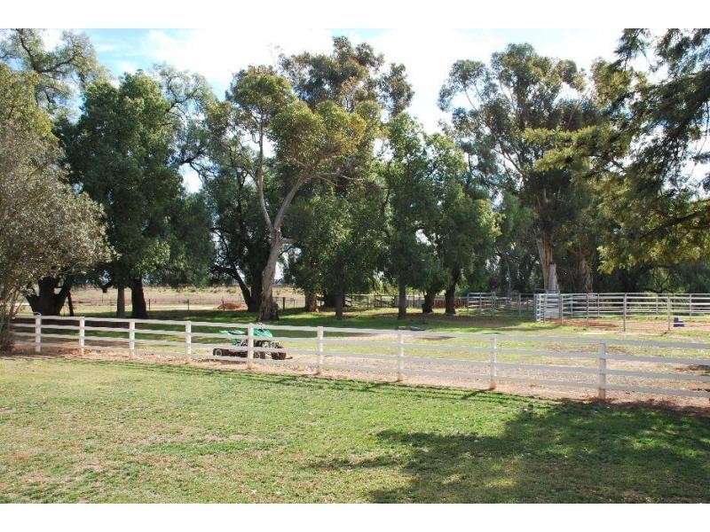 3514 Tocumwal Road, Barooga NSW 3644