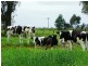 415 Pullar Road, Cobram VIC 3644