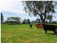 415 Pullar Road, Cobram VIC 3644