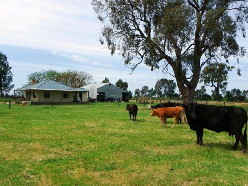 415 Pullar Road, Cobram VIC 3644