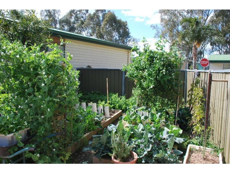 23 Oasis Drive, Oasis Village, Cobram VIC 3644
