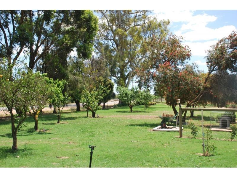 159 Cobram South Road, Cobram VIC 3644