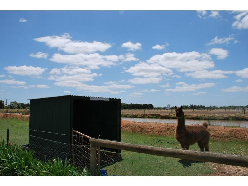 159 Cobram South Road, Cobram VIC 3644