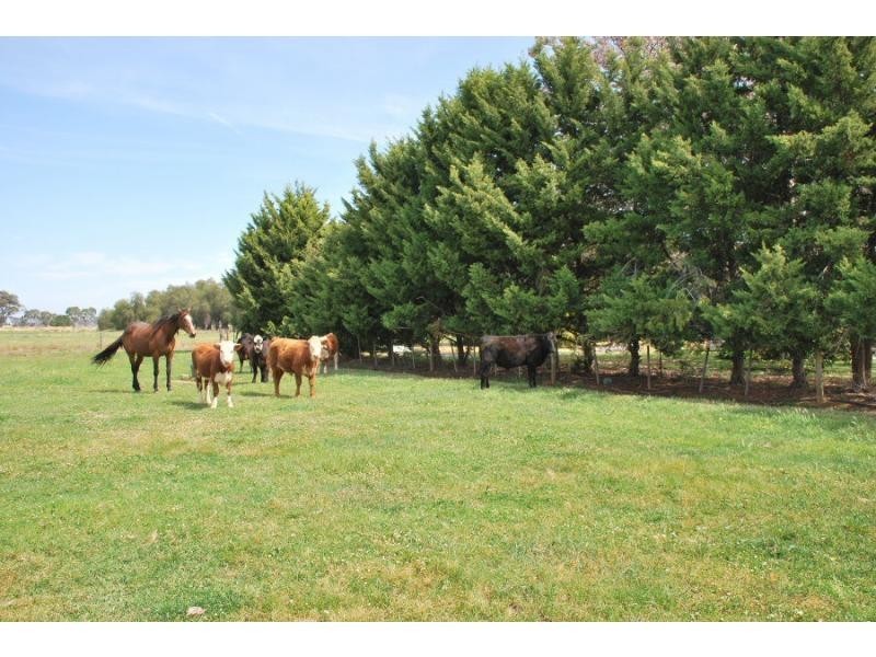 13 Sandmount Road, Cobram VIC 3644