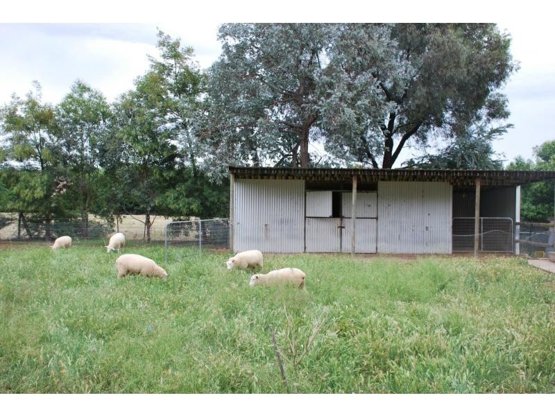 15 Catona Crescent, Cobram VIC 3644