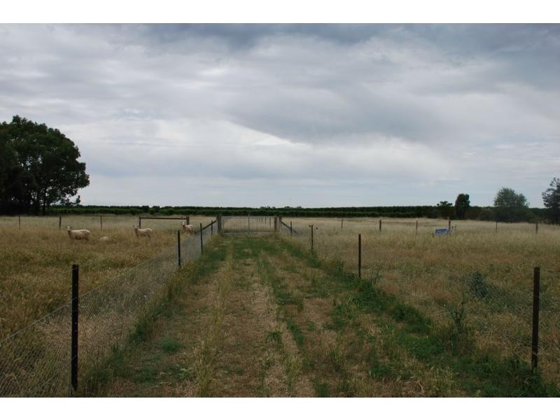 15 Catona Crescent, Cobram VIC 3644