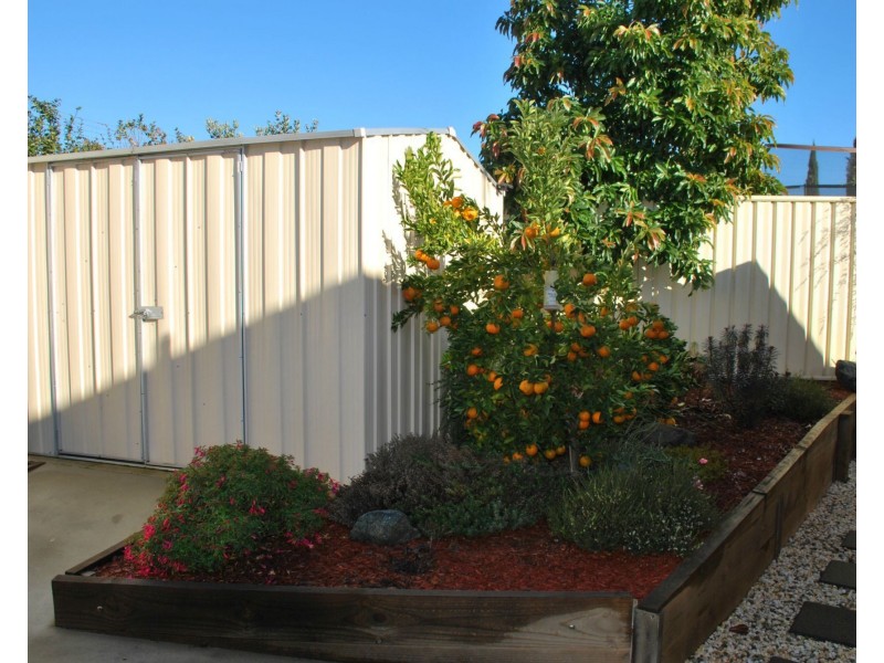17 Rio Vista Court, Cobram VIC 3644