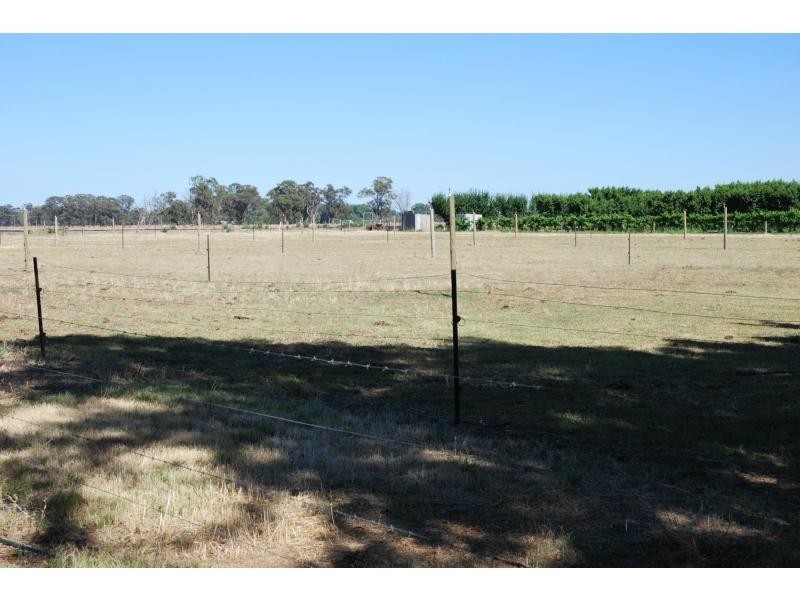 11 Catona Crescent, Cobram VIC 3644