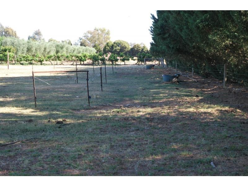 11 Catona Crescent, Cobram VIC 3644