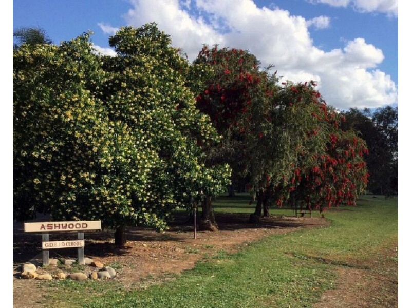 39 Catona Crescent, Cobram VIC 3644