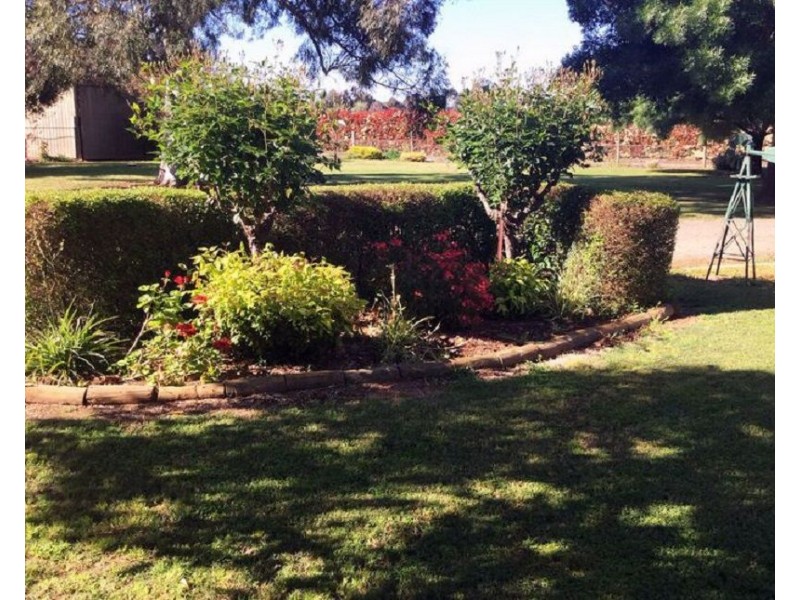 39 Catona Crescent, Cobram VIC 3644