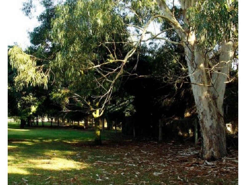 39 Catona Crescent, Cobram VIC 3644