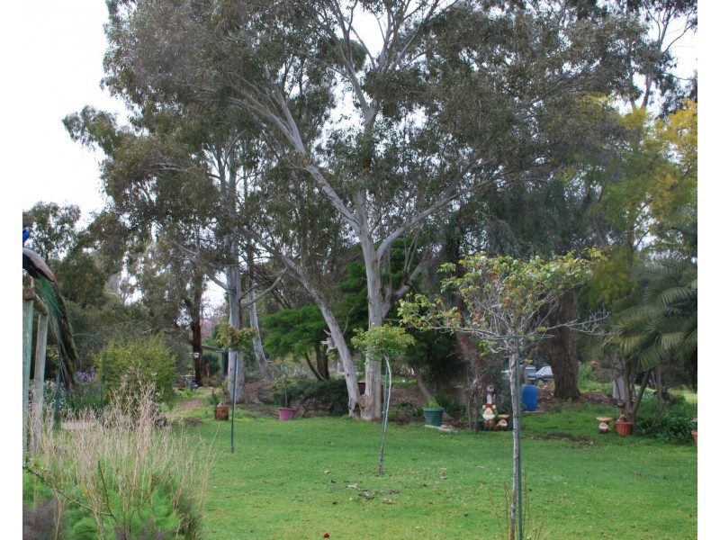 221 Newell Highway, Tocumwal NSW 2714