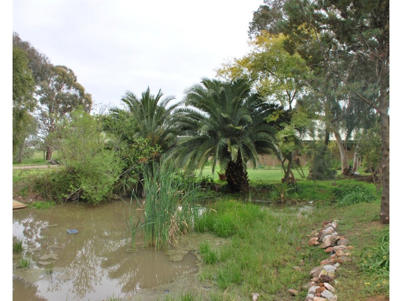 221 Newell Highway, Tocumwal NSW 2714