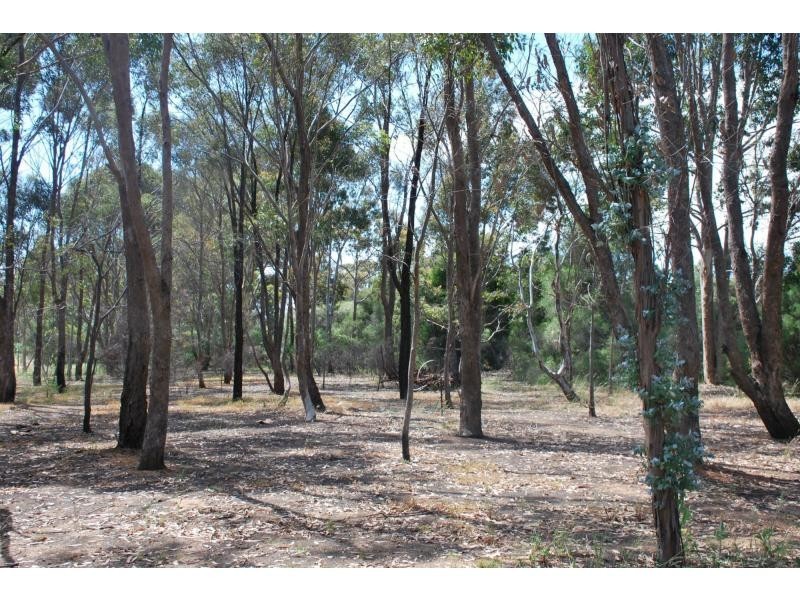 7 Katamatite East School Road, Cobram East VIC 3644